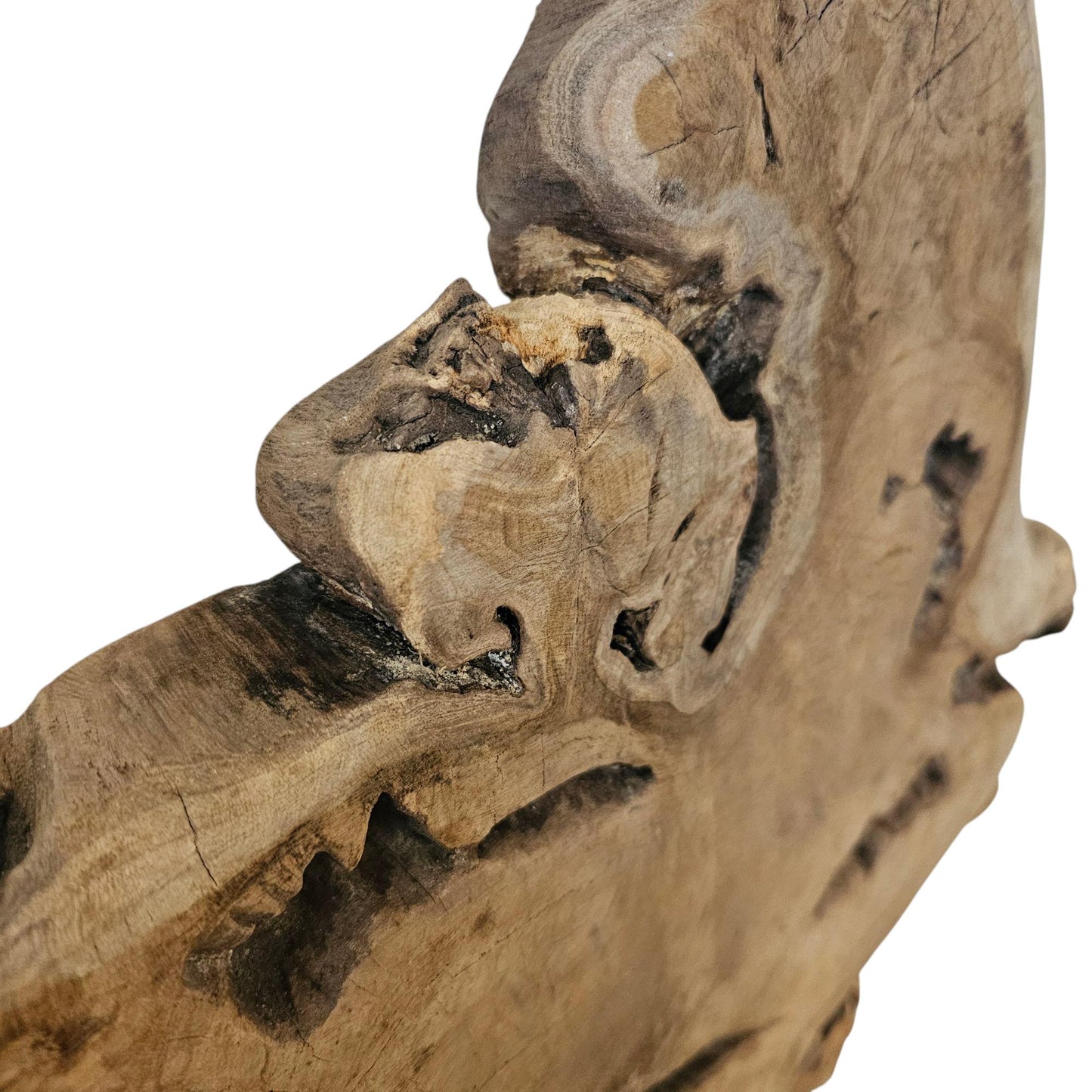 Ornament Baumscheibe auf Holzsockel Holz Skulptur Naturprodukt unbehandelt Nr 2