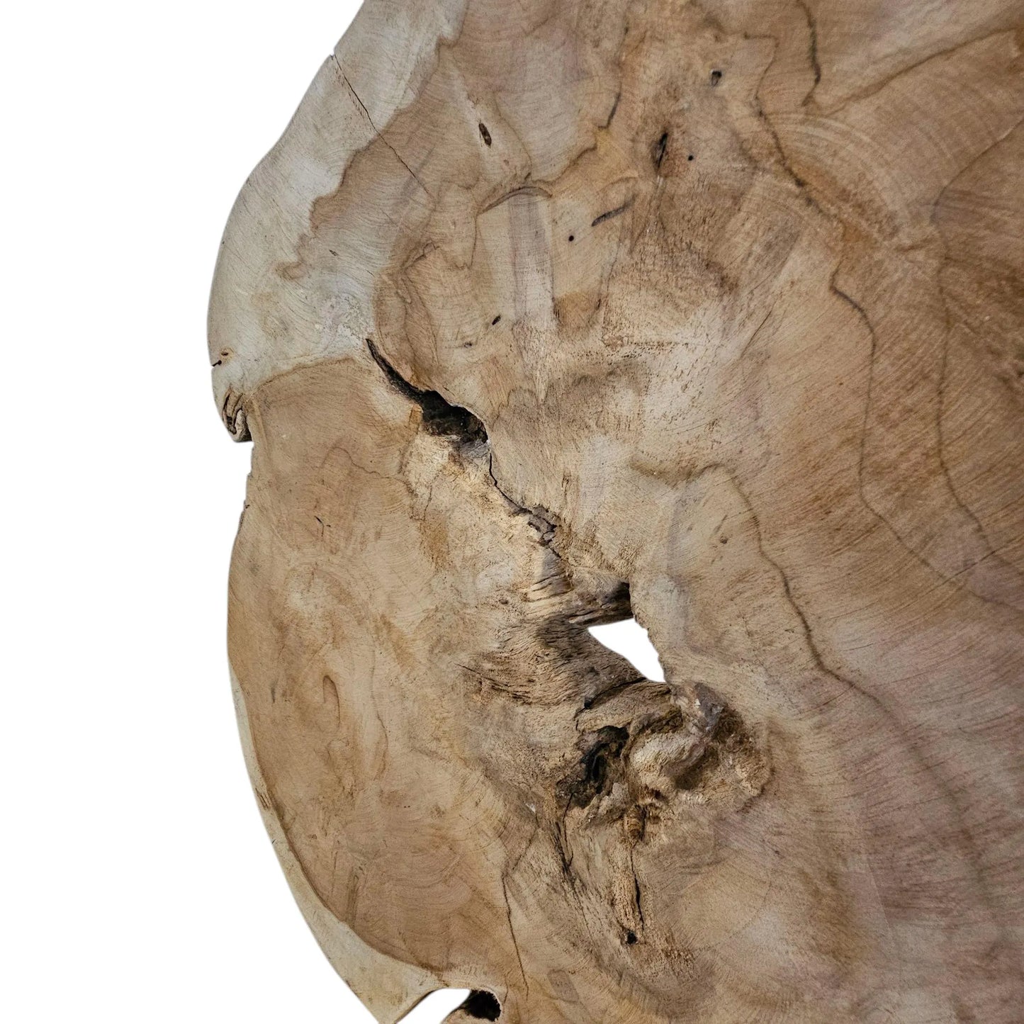 Ornament Baumscheibe auf Holzsockel Holz Skulptur Naturprodukt unbehandelt Nr5